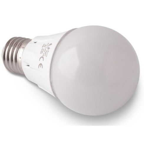 OO24 LED žárovka E27 Teplá bílá 12W