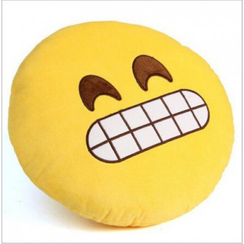 PD6 KISSEN GESPRUNGEN