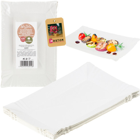 ARP8000 KPL 20PCS. PICNIC-PAPIER-TISCHE FÜR GRILL-PICNIC 20x13,5 CM
