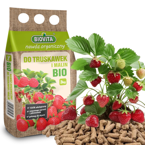 Organic fertilizer for strawberries and raspberries, natural, organic, granules, Biovita, 3 kg