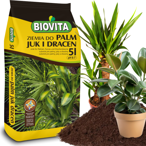 BIO9 ERDE FÜR PALMEN YUCCA DRACAENA 5L SUBSTRAT FÜR GRÜNPFLANZEN MIT BIOVITA DÜNGER
