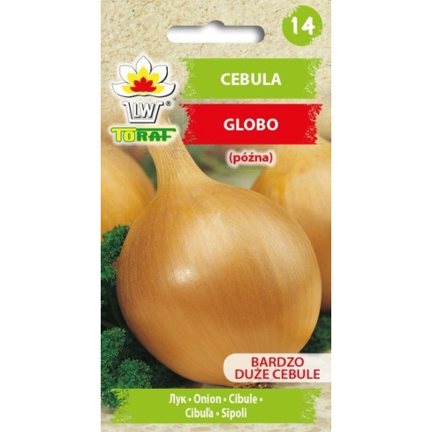 W1020 SEMÍNKA CIBULE GLOBO POZDNÍ VELMI VELKÉ SALÁTOVÉ OBŘÍ CIBULE 2G