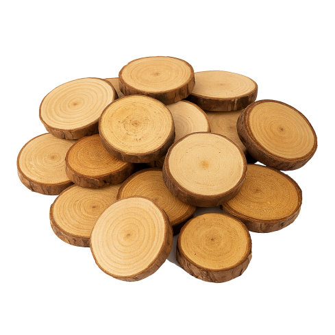 CV34574 HOLZSCHEIBEN NATUR DEKORATION IN EINER TASCHE DIY HANDWERK