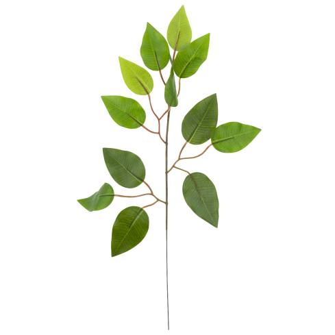 CV07555 FICUS BLATT DEKORATIVER ZWEIG DEKORATIVER FICUS