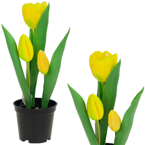 CV10553-3 GUMMIERTE TULPENBLÜTEN ALS LEBENDPRÄMIE