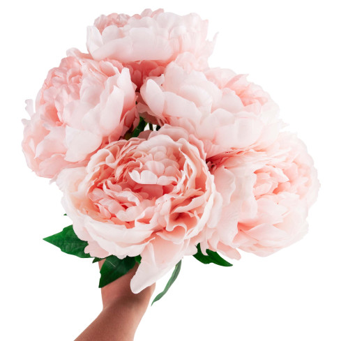 CV11290-3 PFINGSTROSE STRAUSS X 5