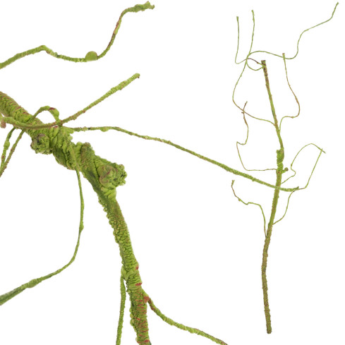 CV13601-2 DEKORATIVER ZWEIG DEKORATIVER ZWEIG FÜR VASE KÜNSTLICHE GRÜNE WURZEL