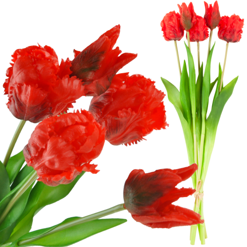 CV13899-8 PAPULIANS PAPULOPUS BUNCH KÜNSTLICHE BLUMEN gummiert 5 Stück wie lebende Blumen