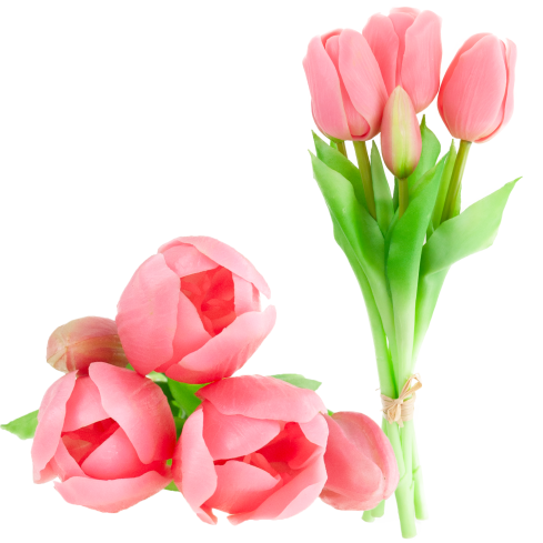CV17692-8 TULIPAN GUMMED BUNCH X5 rosa