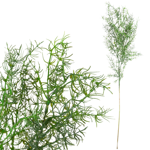 Decorative asparagus fern, artificial flowers, bouquet accent, 80 cm