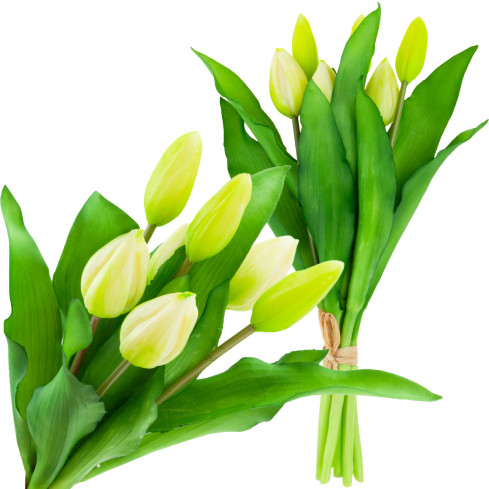 CV18674-1 TULIPS BUNCH Gummierter Gummi als lebendes Silikon WEISS ECRU