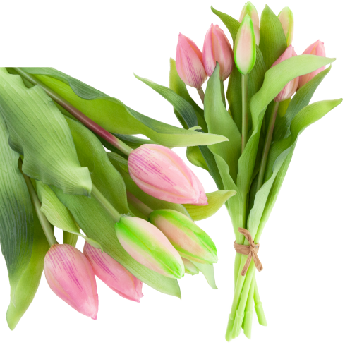 CV18674-6 TULIPAN GUMMED BUNCH X7 rosa