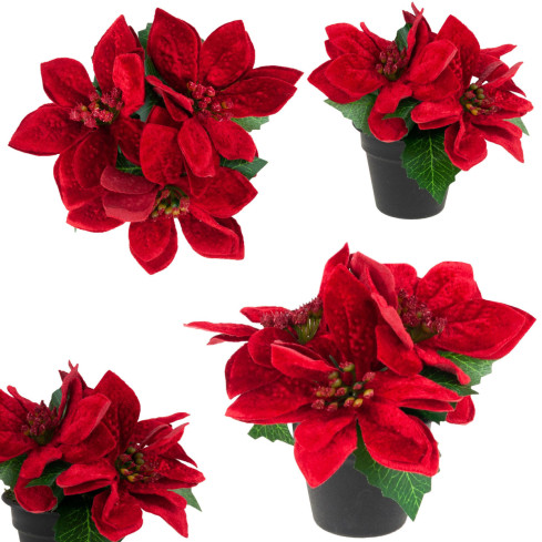 CV19864 BETLÉMSKÁ HVĚZDA V KVĚTINÁČI UMĚLÁ VELUROVÁ POINSETTIE REALISTICKÁ