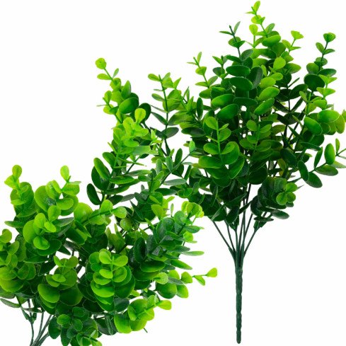 CV26478 BUNCH BUNCH BUNCH BUNCH BORROW für Stechpalme