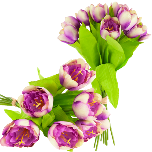 CV27020-10 Tulpenzwiebel mit gummibeschichtetem Stiel x 9 lila Köpfe