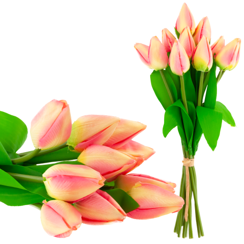 CV27025-2 TULPENSTRAUSS 12 GESCHLOSSENE ROSA KÖPFE