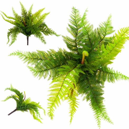 CV28657 FARN STRAUSS FARN KÜNSTLICHEN ZWEIG ALS LIVE FÜR DIE ZUSAMMENSETZUNG