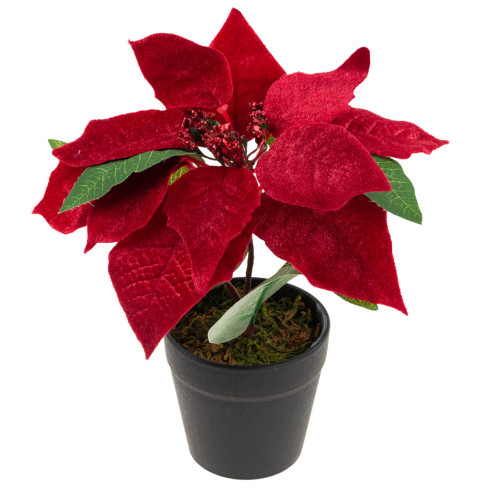 CV28962 STERN VON BETLEHEM KÜNSTLICHER SAMT IM TOPF POINSETTIA REALISTISCH