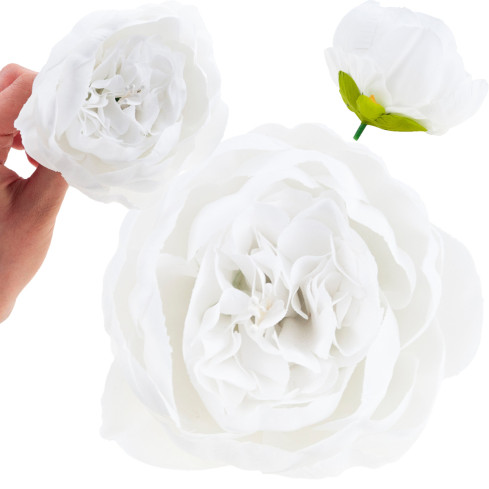 CV31160-1 PFINGSTROSE PRODUKT PFINGSTROSE BLUME KOPF FÜR SCHILF STRÄUSSE