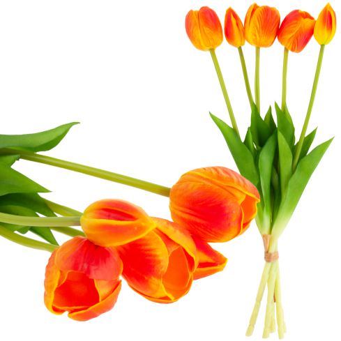 CV31218-5 BUKIET TULIPANÓW GUMA PIANKA x 5 szt REALISTYCZNY PERFOROWANY pomarańczowy