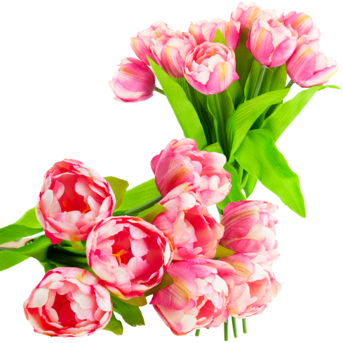 CV31227-4 TULIPAN BUKIET X7 ROZ