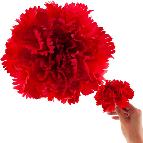 CV31484-6 Nelke Blume Kopf künstliche Blumen wie Live für Kopfbedeckungen rot