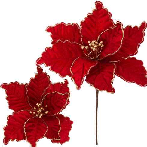 CV34186-6 STERN VON BETHLEHEM BLUME WEIHNACHTSSTERN FÜR WEIHNACHTSBAUM GROSS AUF FEDER SCHILF