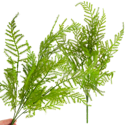 CV38574 BUKIET ZIELONYCH GAŁĄZEK ASZPARAGUS LIŚCIE ZIELEŃ X5