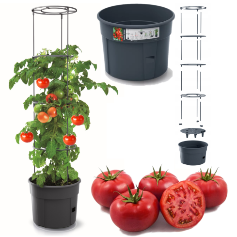 IPOM300-S433 TOMATENZÜCHTER-TOPF TOMATENZÜCHTER-TOPF
