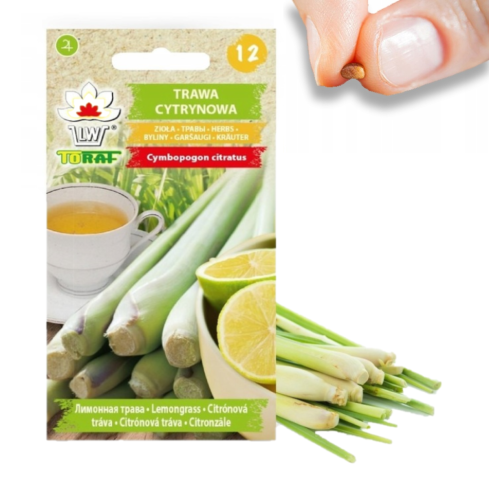 Z3034 SEMÍNKA BYLINY CITRONOVÉ TRÁVY ZDRAVOTNÍ VLASTNOSTI 0,1G