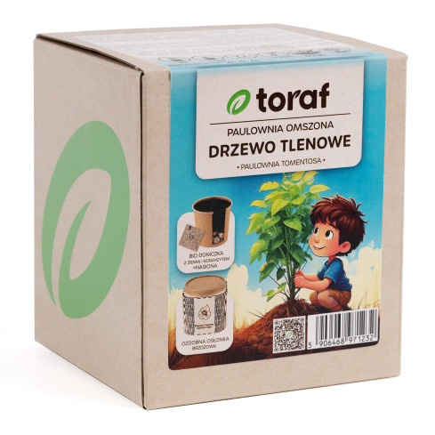 D1232 TORAF MOOSIGE PAULOWNIA SAUERSTOFFBAUM KIT MIT TOPF