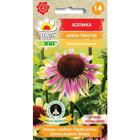 R4287 Green Twister Echinacea – a new addition to the Echinacea family; seeds attract bees and butterflies; 0.3 g