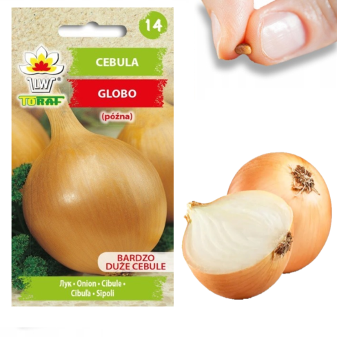 W1020 ZWIEBELSAMEN GLOBO LATE SEHR GROSSE SALAT-RIESENZWIEBELN 2G