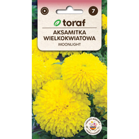 Large-flowered Tagetes 'Moonlight', Tagetes flower seeds, edible flowers, 1 g
