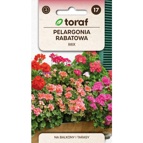 Garden Geranium Mix, Zonal Geranium, Geranium Seed Mix