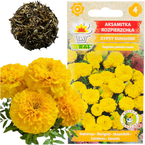 R2005 GYPSY SUNSHINE LOW YELLOW VELVET SEED 1G