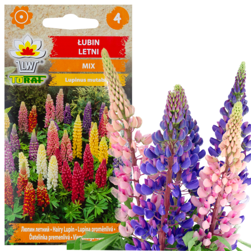 R2818 LETNÍ LUPINA 1G SMĚS SEMEN BAREVNÝCH KVĚTŮ LUPINY