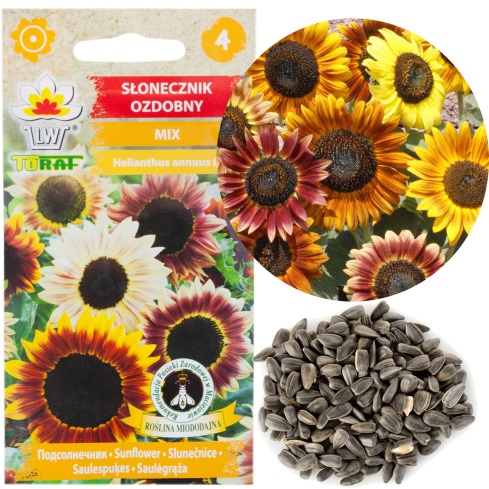 R4232 Ornamental Sunflower Mix (multi-stemmed), 2 g seeds, annual honey plant