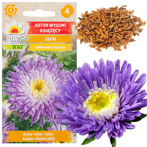 R4300 Prince Aster 'High Zephyr' 1g seeds, purple-white flowers