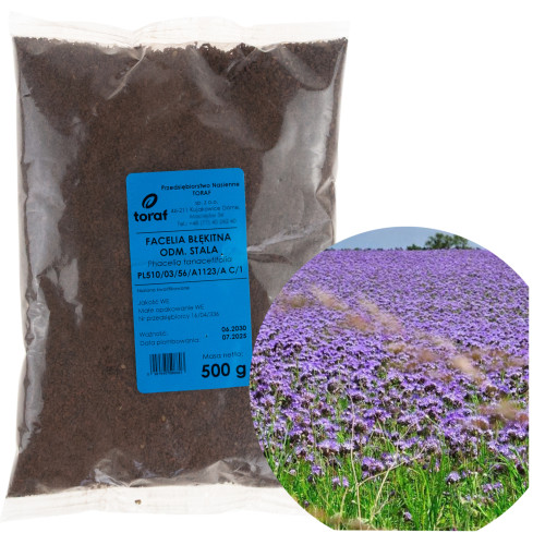 R8803 BLAUE PHACELIA, FESTE SORTE 500G