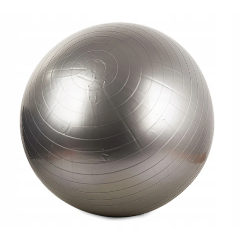 SP64 FITNESS BALL 65CM +
