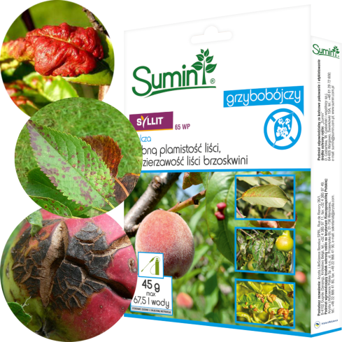 SUM21 Syllit 65 WP 45g, Sumin-Fungizid, Pfirsichkräuselung, Schorf, Blattflecken