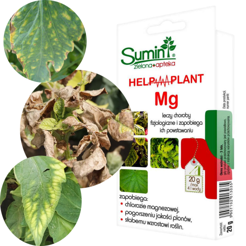 SUM41 Help Plant Mg Magnesium for Plant Diseases, Treatment for Magnesium Deficiency, 20 g