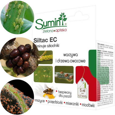 SUM47 Siltac EC eliminates pests such as aphids, whiteflies, and spider mites; insecticide