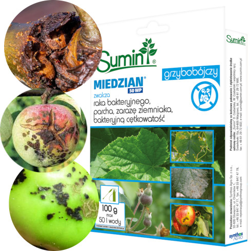 SUM7 Copper-Based Fungicide, 50 WP, 100 g