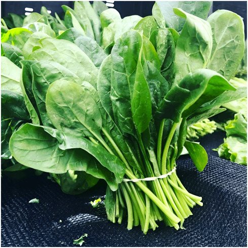 W1232 SZCZAW NASIONA WIELOLETNI WITAMINY ŻELAZO POTAS MROZOODPORNY 3G