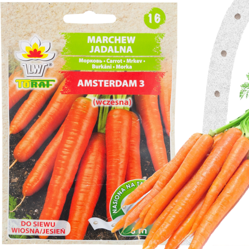 T8003 KAROTTEN AMSTERDAM 3 AUF BAND FRÜHE KAROTTENSAMEN BAND KAROTTENSAMEN 6M