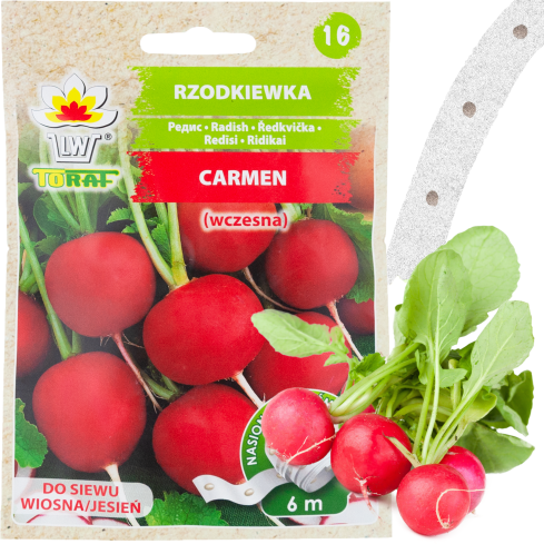 T8339 ŘEDKVIČKA CARMEN RIBBON 6M SEMÍNKA ŘEDKVIČKY NA STUZE KULATÉ CARMEN