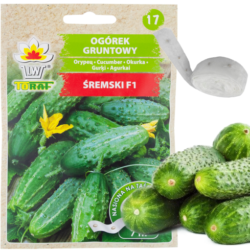 T8636 SREM OKURKA NA VÝSEVNÍ PÁSCE 7M SEMENA PLODNÁ ODOLNÁ PROTI PLÍSNI