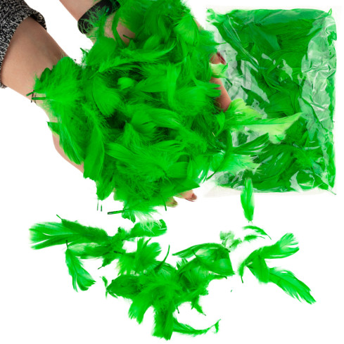 TG35906-4 Zierfedern, Dekofedern, 10g hellgrün für Bastelarbeiten, Osterdekorationen